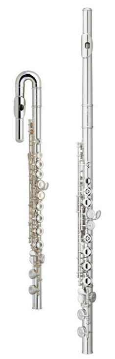 The Ultimate Guide to Purchasing a Flute – The Techie Flutist